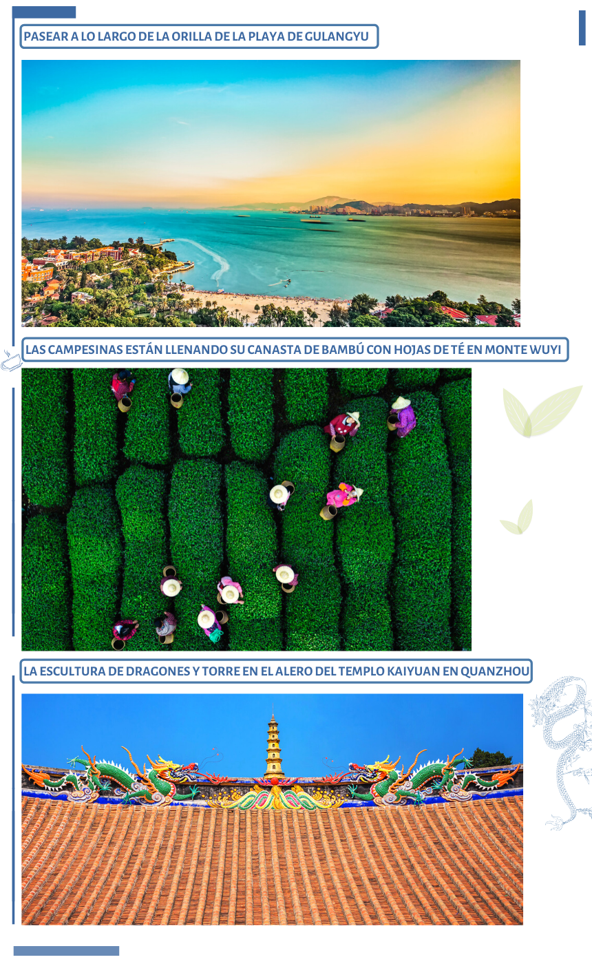 monte wuyi插图.png